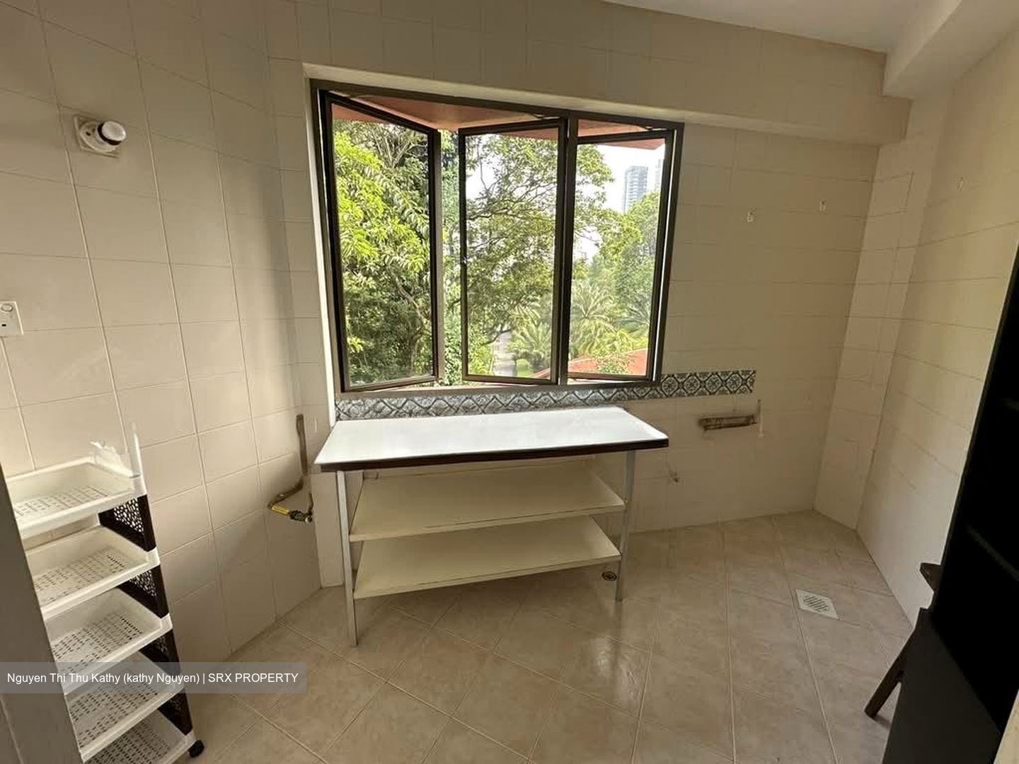 Balmoral Luck (D10), Condominium #599190211